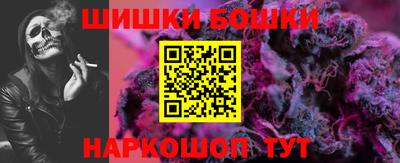 меф Гатчина