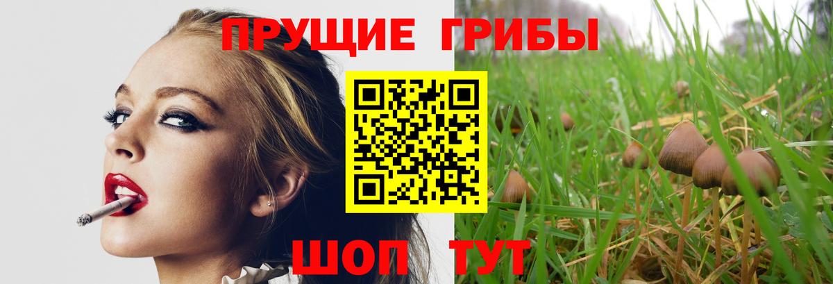 наркотики  Псилоцибиновые грибы мухоморы  Нижний Тагил  Вход с VPN  Псилоцибиновые грибы Cubensis 